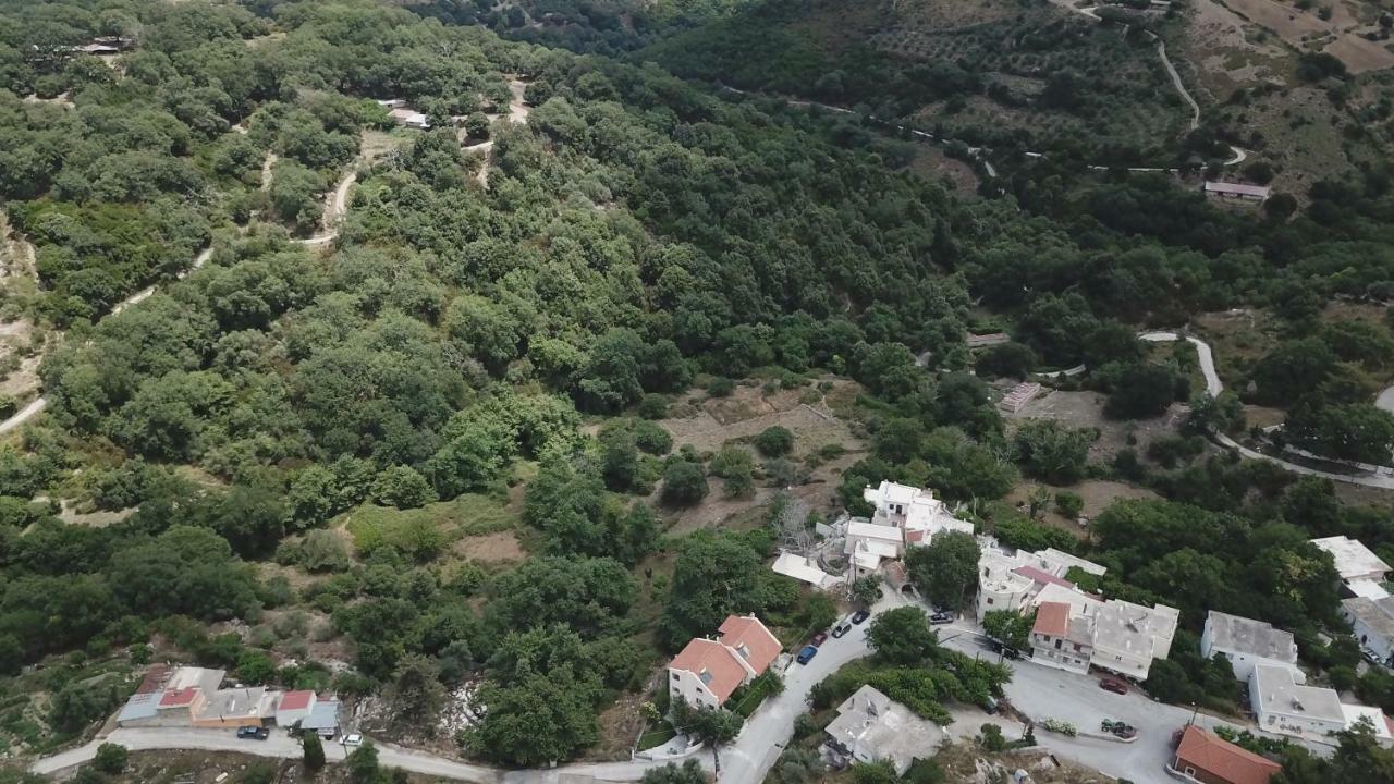 Alonai Irini΄S Houseヴィラ エクステリア 写真