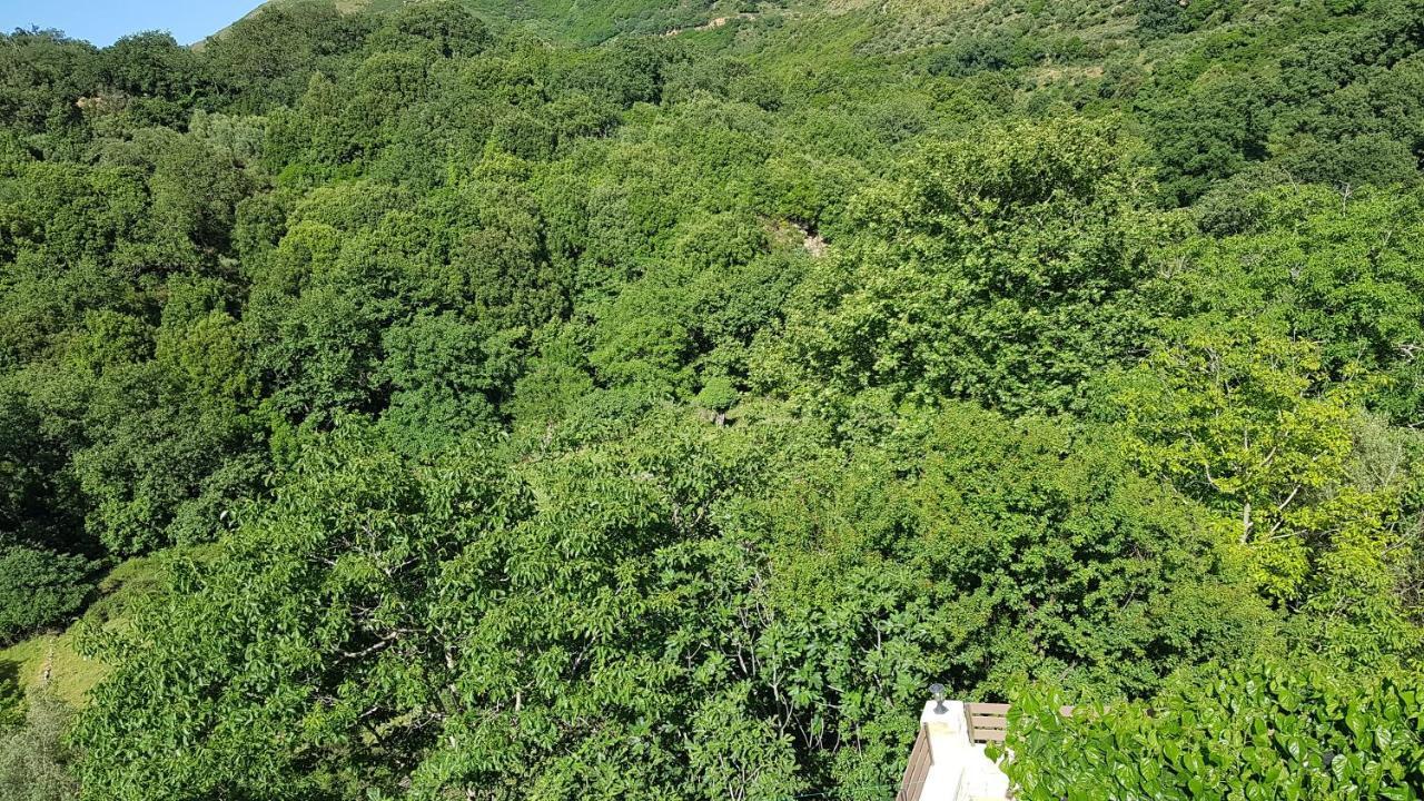 Alonai Irini΄S Houseヴィラ エクステリア 写真